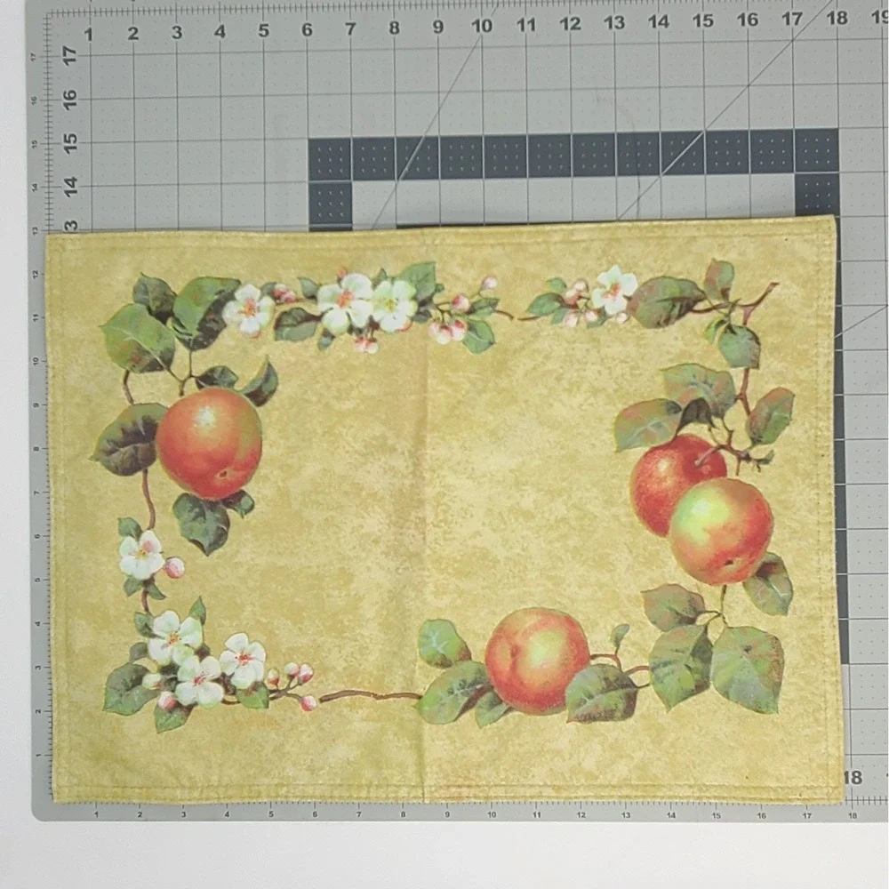 Vintage Apple Blossom Vinyl Placemats Set of 6 Reversible Easy Care 90s